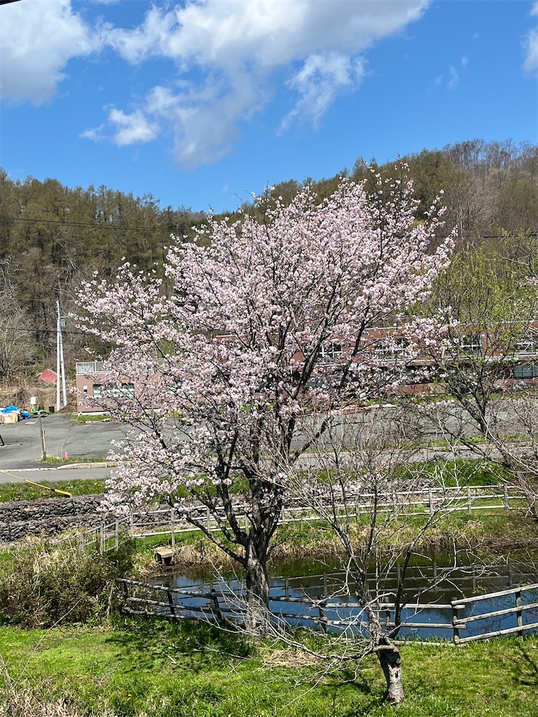 f:id:masa102:20250608114728j:image