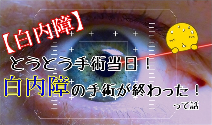 hakunaishou180309a