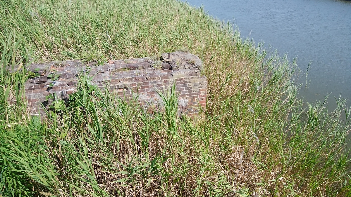 f:id:masa19569810303:20190830110352j:plain f:id:masa19569810303:20190830110352j:plain