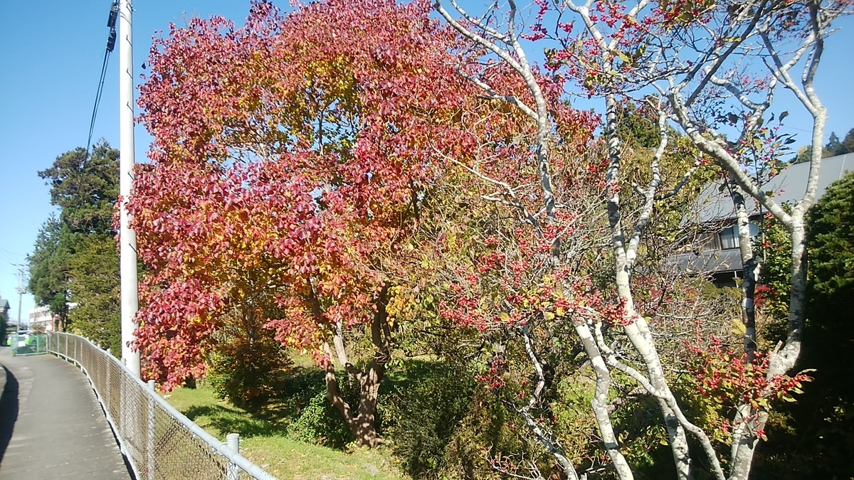 f:id:masa19569810303:20191115110619j:plain