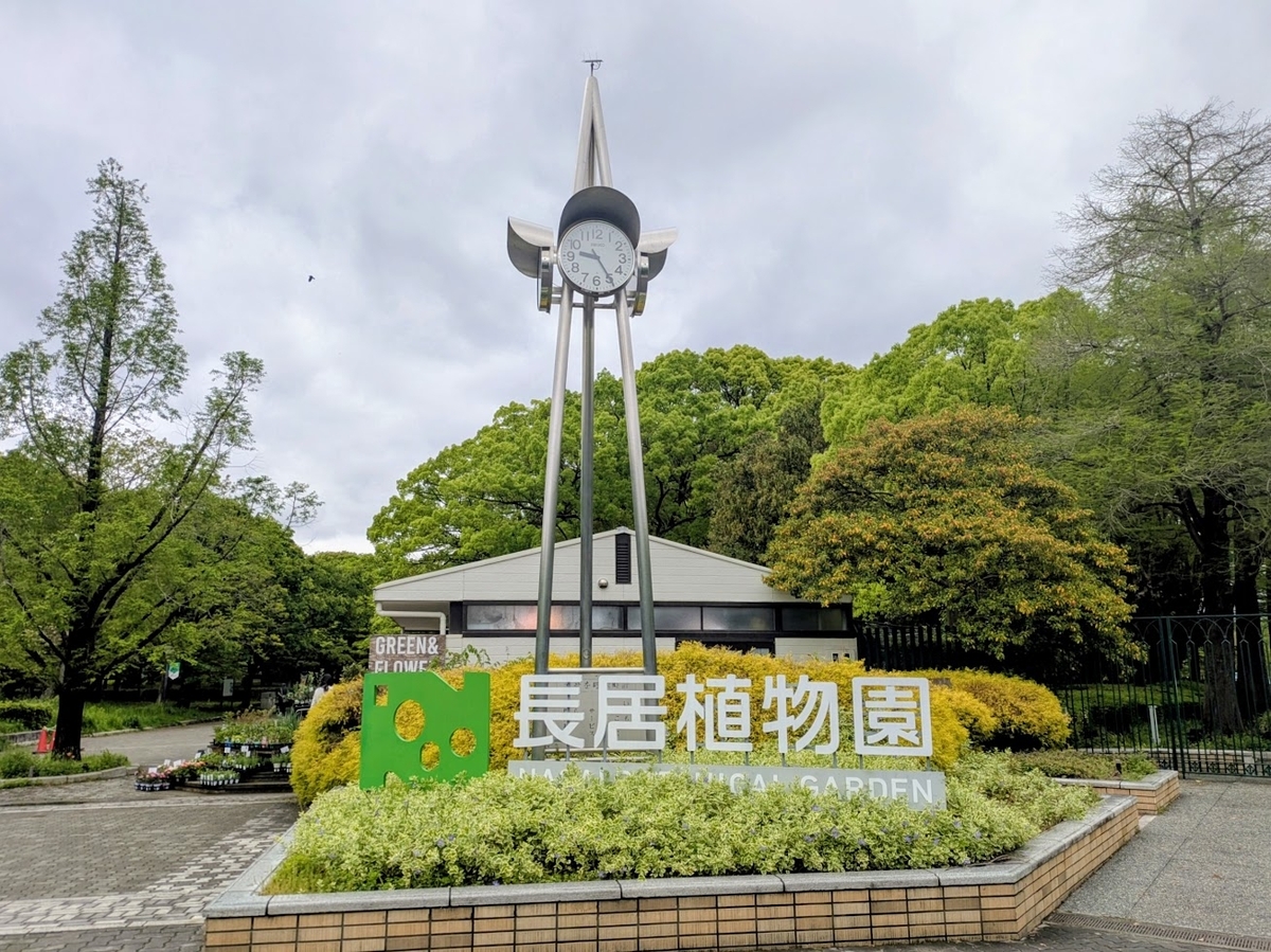 🌳【長居公園】『大阪市立長居植物園』❛ネモフィラフェア❜ 藤の花と