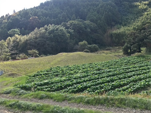 f:id:masa308gts:20181029002837j:image