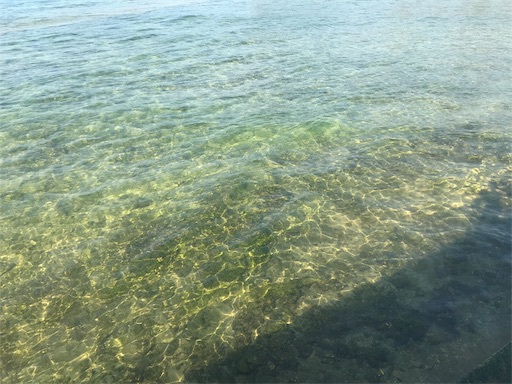 f:id:masa308gts:20190130215306j:image f:id:masa308gts:20190130215306j:image