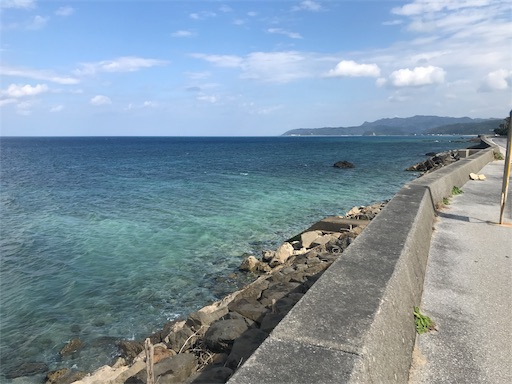 f:id:masa308gts:20190131202019j:image