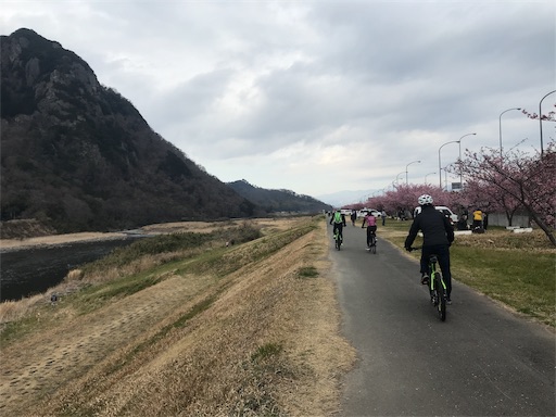 f:id:masa308gts:20190226011807j:image f:id:masa308gts:20190226011807j:image