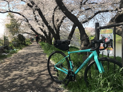f:id:masa308gts:20190406142857j:image f:id:masa308gts:20190406142857j:image