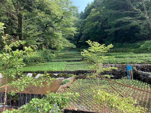 f:id:masa308gts:20190805003357j:image f:id:masa308gts:20190805003357j:image