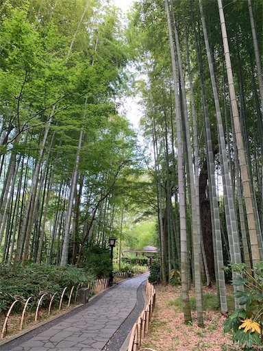 f:id:masa308gts:20190805004648j:image f:id:masa308gts:20190805004648j:image