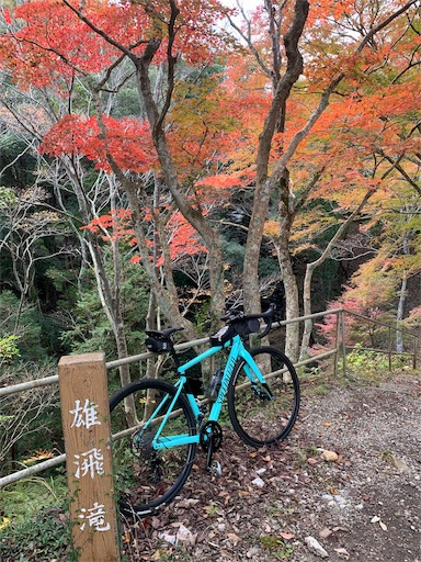 f:id:masa308gts:20191121021759j:image f:id:masa308gts:20191121021759j:image