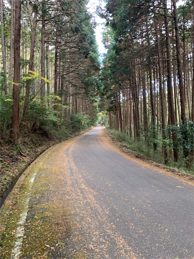 f:id:masa308gts:20191121021916j:image f:id:masa308gts:20191121021916j:image