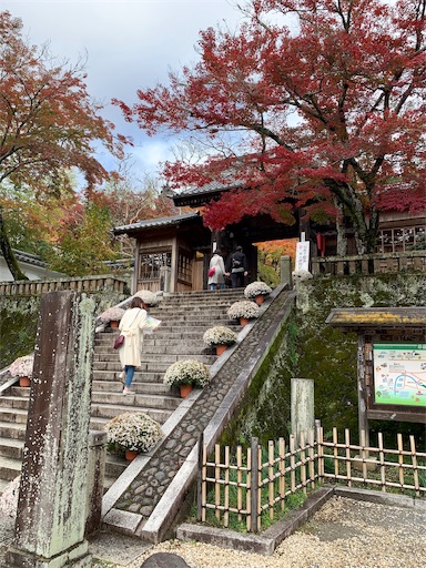 f:id:masa308gts:20191125014317j:image f:id:masa308gts:20191125014317j:image