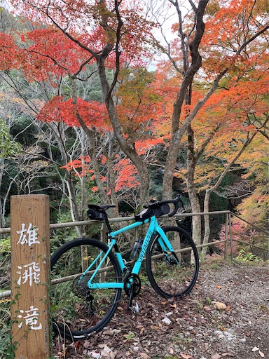 f:id:masa308gts:20191125020240j:image f:id:masa308gts:20191125020240j:image