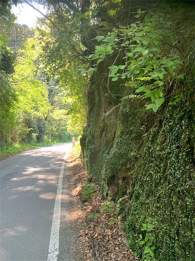 f:id:masa308gts:20200501205903j:image