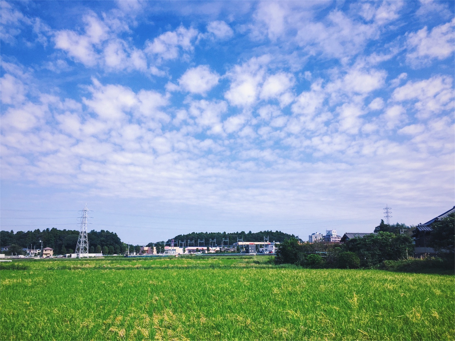 f:id:masa8609:20161013231206j:image