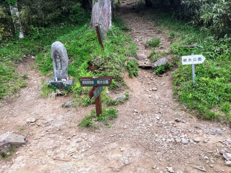 氷ノ山の氷ノ山越