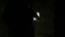 20170816215339