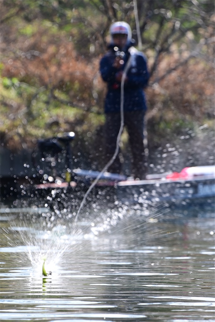 f:id:masa_Photo:20210103124558j:image f:id:masa_Photo:20210103124558j:image