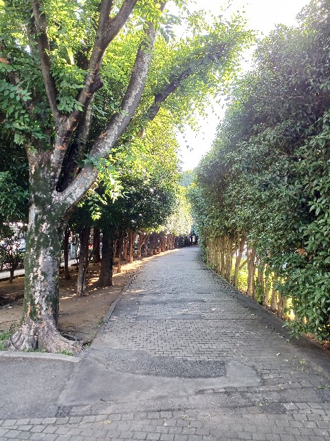 f:id:masa_kick:20250804001839j:image