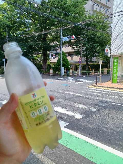 f:id:masa_kick:20250804001943j:image