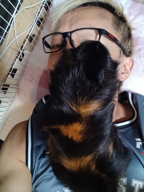 f:id:masa_kick:20250804002130j:image