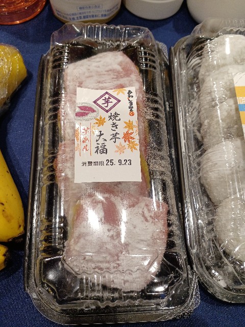 f:id:masa_kick:20250922115846j:image