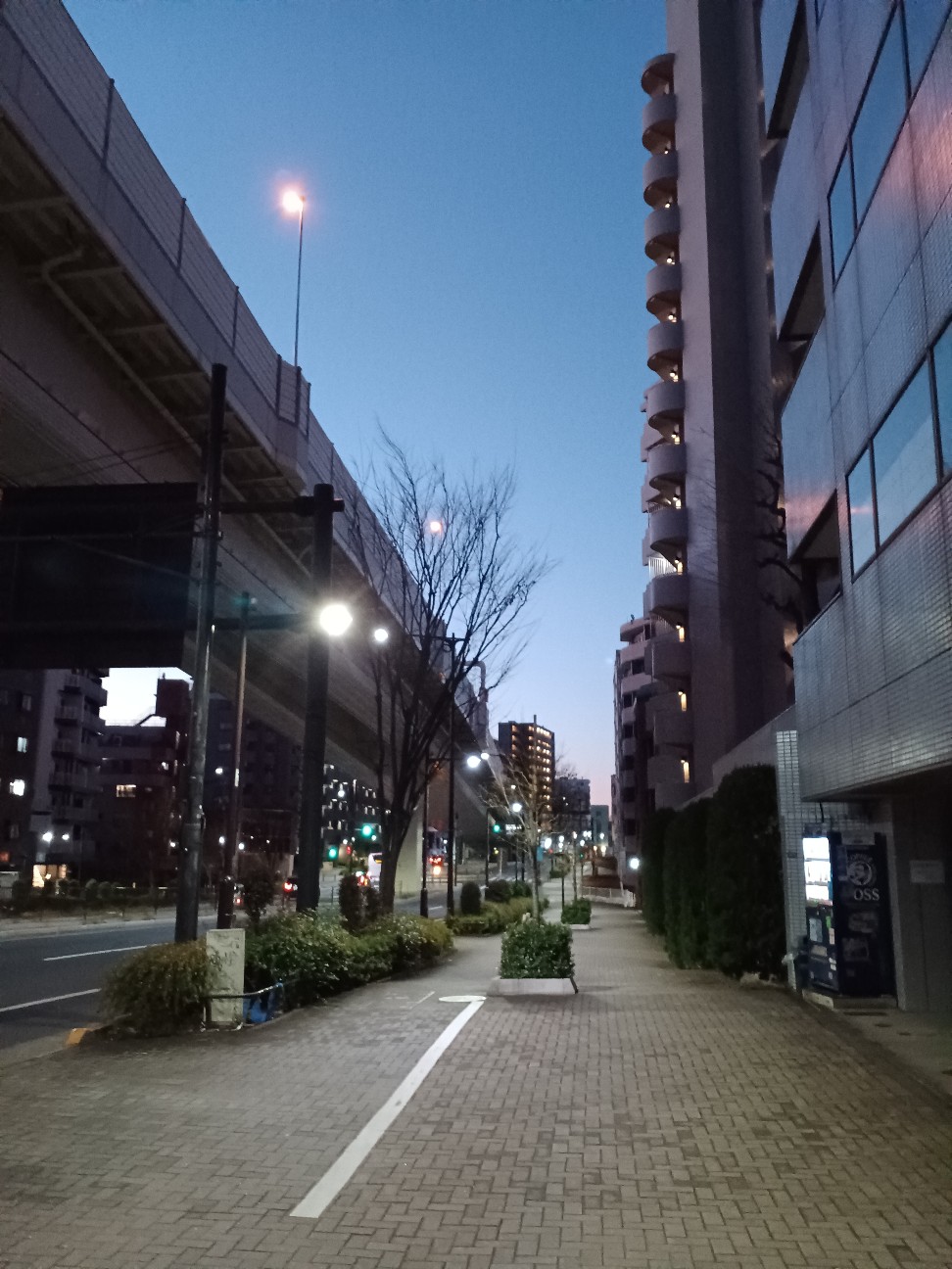 f:id:masa_kick:20260113222337j:image