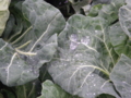 20100422095400