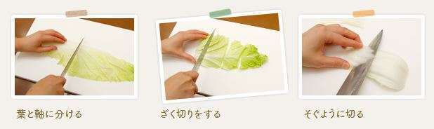 白菜を切っている