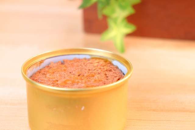 猫缶やウェットフードは何時間もつ?【出しっぱなしのリスク】 - ネコ