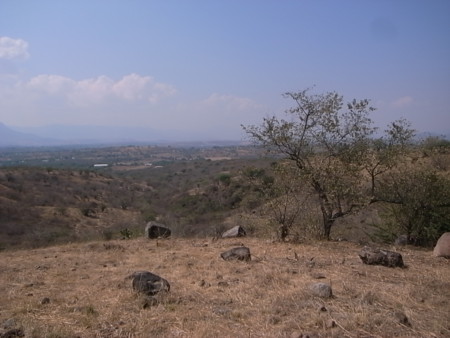 20120124061657