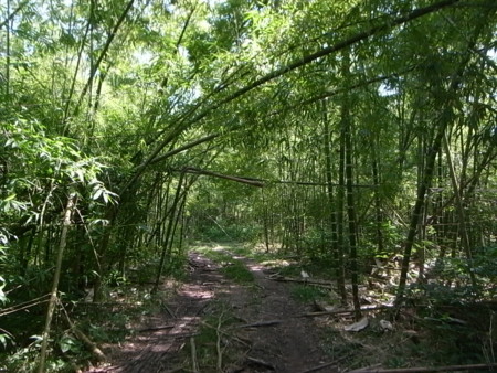 20120125064301