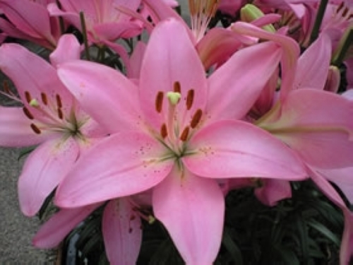 f:id:masaber_1021:20201222214202j:plain