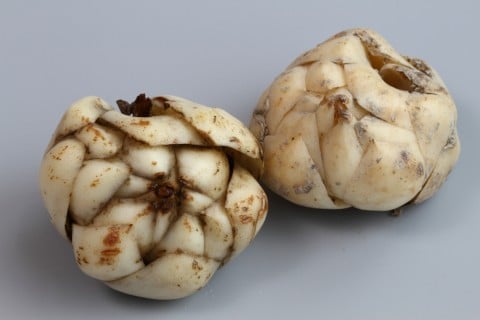 f:id:masaber_1021:20201222215354j:plain