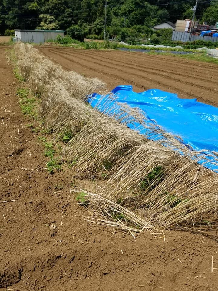 f:id:masaburo91:20190622154141j:plain f:id:masaburo91:20190622154141j:plain