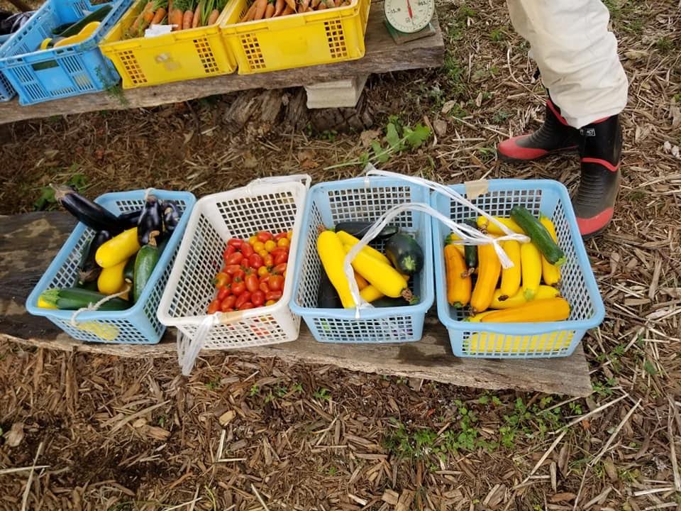f:id:masaburo91:20190622154530j:plain f:id:masaburo91:20190622154530j:plain