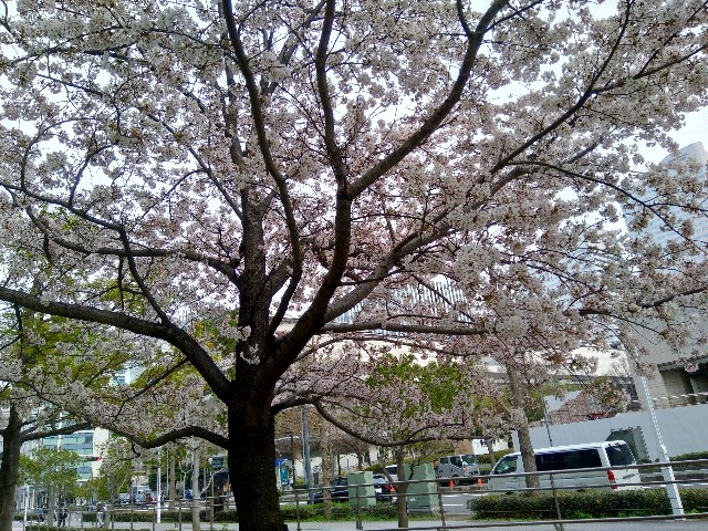 f:id:masaemon2:20221229185138j:image