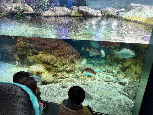 f:id:masaemon2:20230102152014j:image f:id:masaemon2:20230102152014j:image