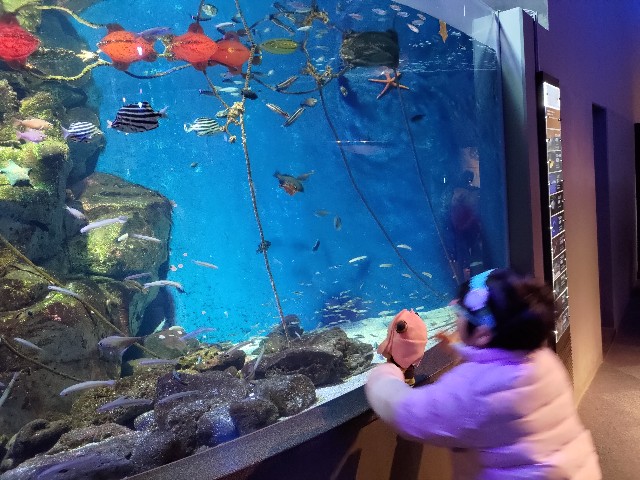 f:id:masaemon2:20230102161511j:image f:id:masaemon2:20230102161511j:image