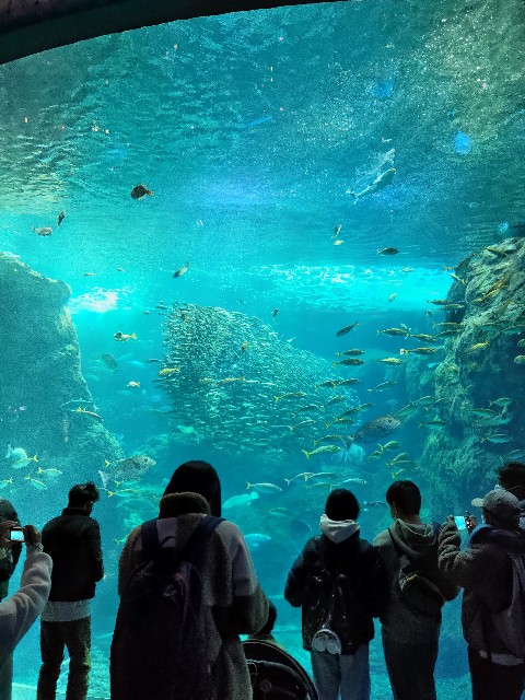 f:id:masaemon2:20230102161602j:image f:id:masaemon2:20230102161602j:image