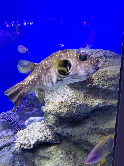 f:id:masaemon2:20230102161659j:image f:id:masaemon2:20230102161659j:image