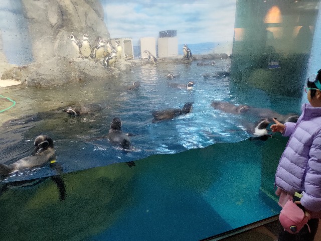 f:id:masaemon2:20230102161746j:image f:id:masaemon2:20230102161746j:image