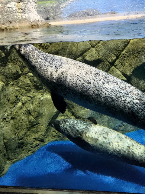 f:id:masaemon2:20230102161828j:image f:id:masaemon2:20230102161828j:image