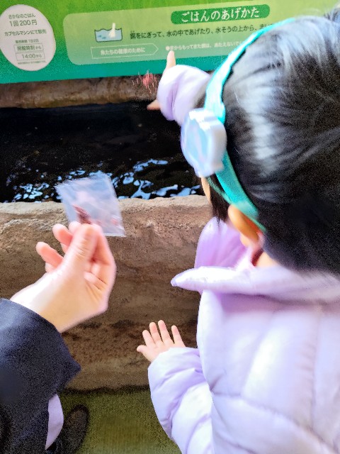 f:id:masaemon2:20230102161942j:image f:id:masaemon2:20230102161942j:image