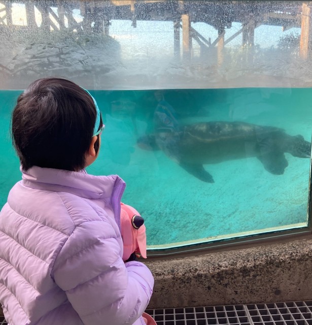 f:id:masaemon2:20230102162512j:image f:id:masaemon2:20230102162512j:image