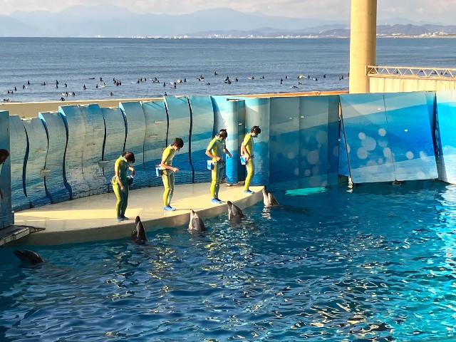 f:id:masaemon2:20230102162539j:image f:id:masaemon2:20230102162539j:image