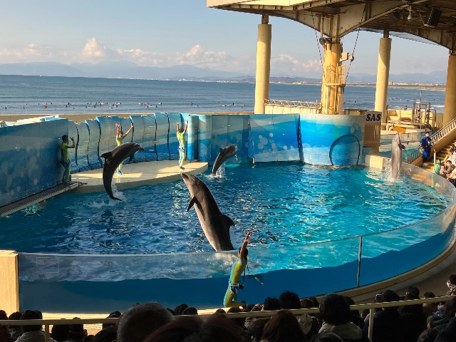 f:id:masaemon2:20230102162641j:image f:id:masaemon2:20230102162641j:image