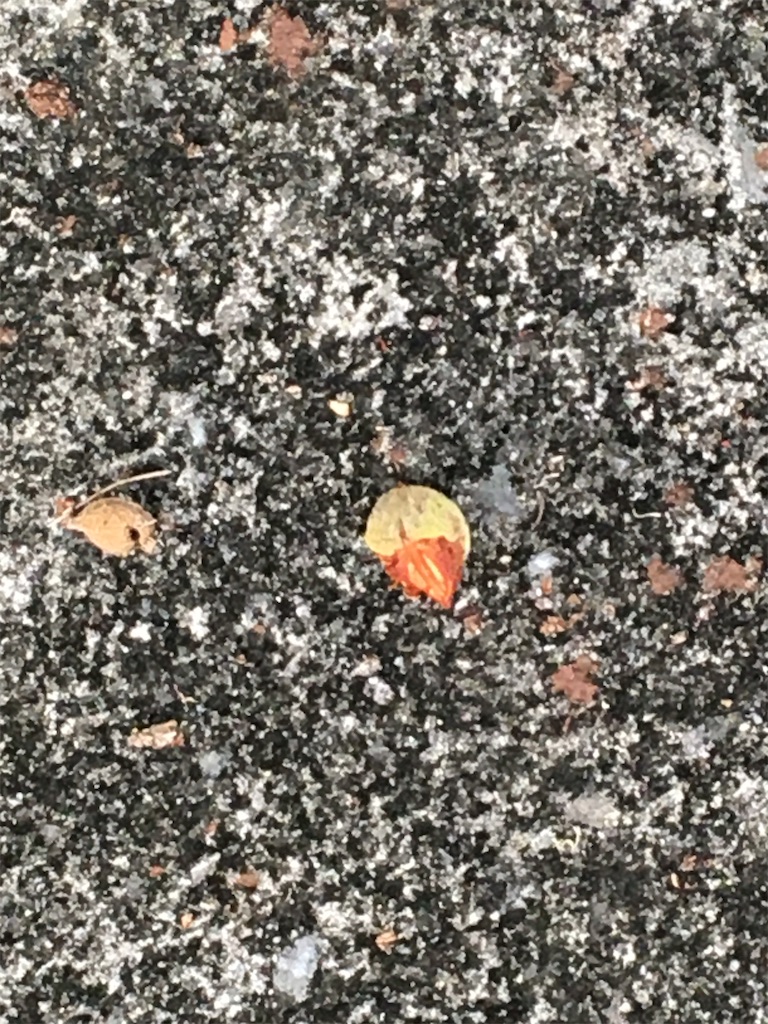 f:id:masahiko0819:20210516095311j:image f:id:masahiko0819:20210516095311j:image