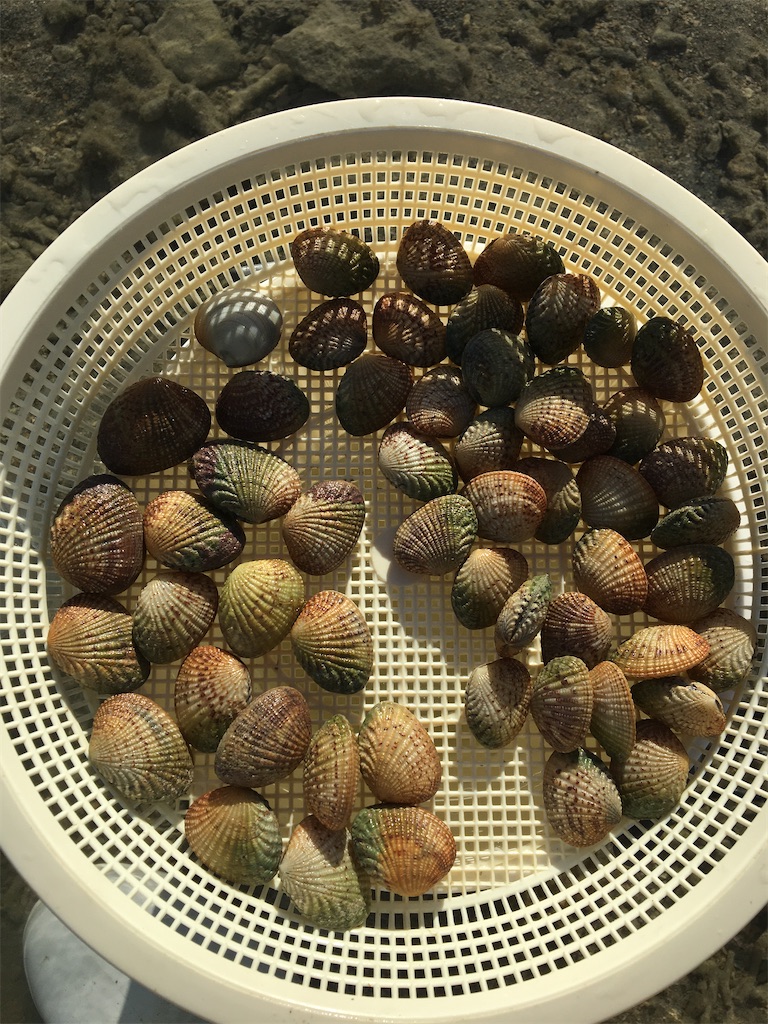 f:id:masahiko0819:20210516184416j:image f:id:masahiko0819:20210516184416j:image