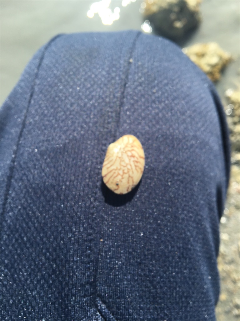 f:id:masahiko0819:20210516184954j:image f:id:masahiko0819:20210516184954j:image