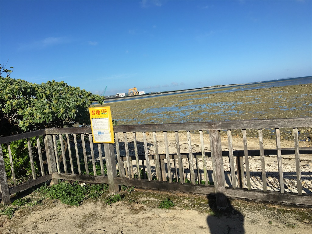 f:id:masahiko0819:20210517202104j:image f:id:masahiko0819:20210517202104j:image